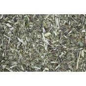 1000 Kräuter Grüner Hafertee