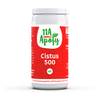 11A-Apofy Cistus 500