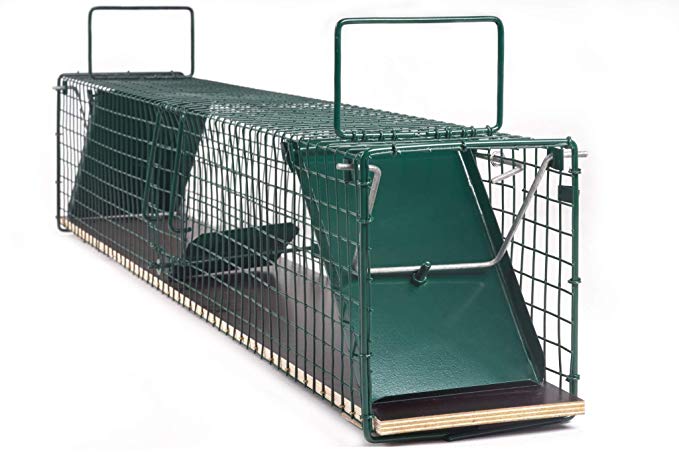 unzerstörbares hundebett Orthopädisches Hundebett - Gelenkschutz & Komfort main image 0