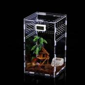 Suprcrne Paludarium Vergleich