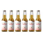 Kombucha OnFlow Vergleich