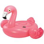 Schwimmtiere