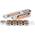 Bronson Skateboard Kugellager G3