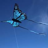 Wolkenstürmer Bella Butterfly