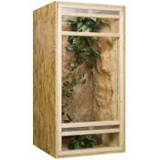 Holzkonzept Hochterrarium Vergleich
