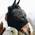 Kentucky Horsewear Slim fit Fliegenmaske 