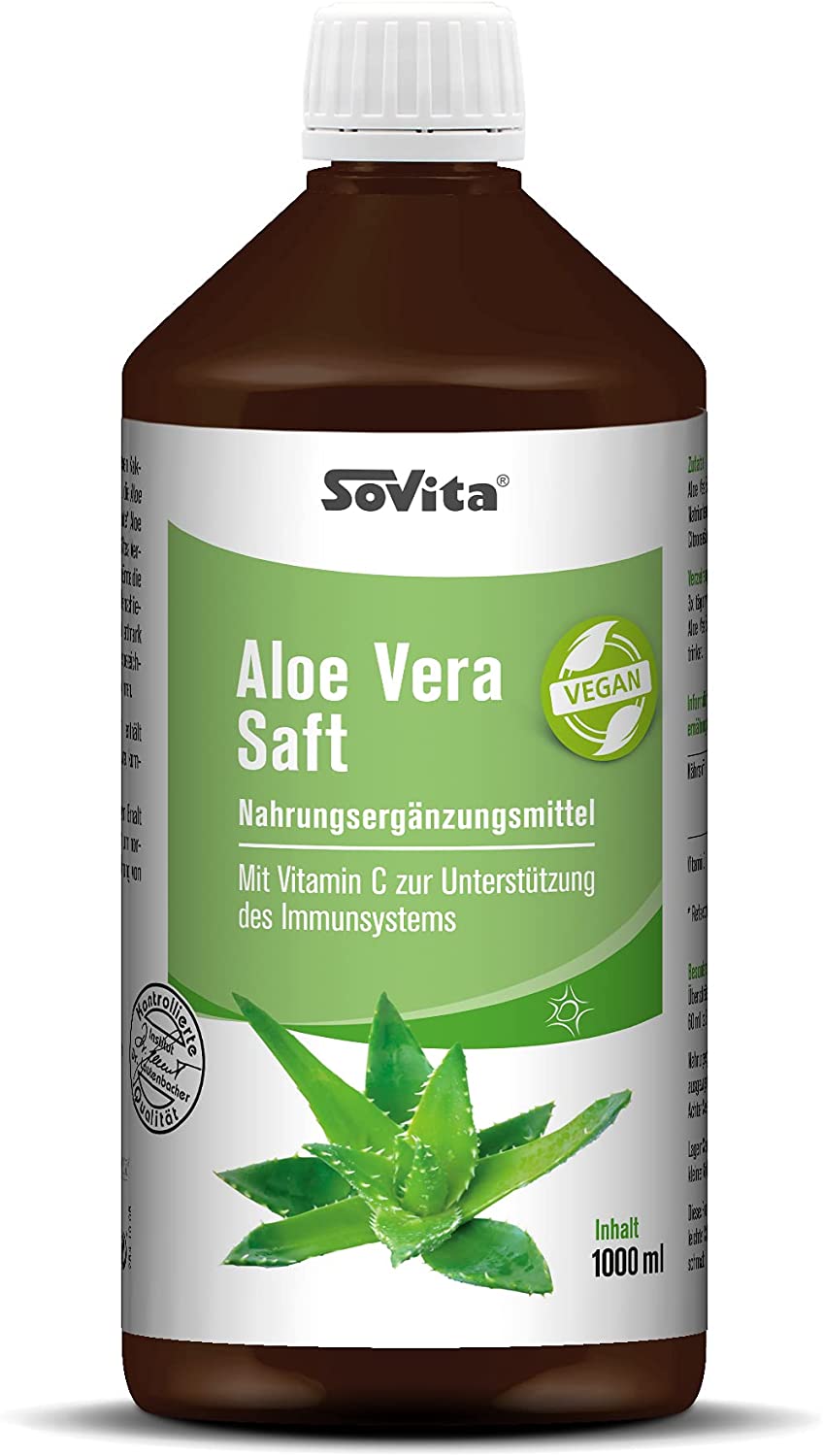 aloe vera online bestellen Aloe Vera Pflanze online kaufen – MyZimmerpflanze.de