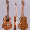 Winzz Konzert Ukulele