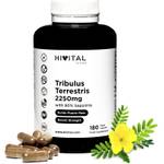 Hivital Foods Tribulus Terrestris 