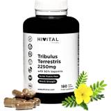 Hivital Foods Tribulus Terrestris
