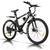 Vivi Elektrofahrrad Herren 26" Mountainbike mit 350W Motor