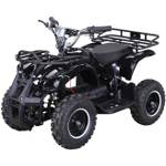 Actionbikes ATV Torino