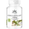 Herba Direct Cissus quadrangularis