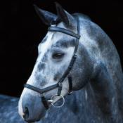 Horseware Ireland Rambo Micklem Trensenzaum Vergleich
