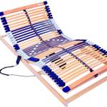 Elektrischer Lattenrost