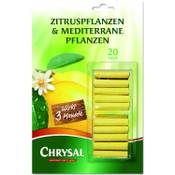 Chrysal Zitruspflanzen & Mediterrane Pflanzen Vergleich