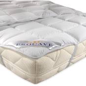 Procave Micro-Komfort