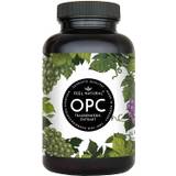 Feel Natural OPC Traubenkernextrakt