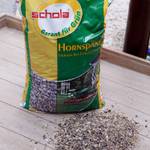 Schola 405