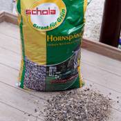 Schola 405