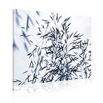 Absorpic Gerste - Farbe Blau