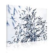 Absorpic Gerste - Farbe Blau
