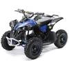 Actionbikes Motors ATV RENEBLADE