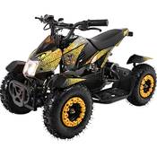 Actionbikes Motors Cobra 800 Vergleich