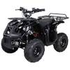 Actionbikes Motors PR0001396
