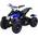 Actionbikes Motors Mini-Quad ATV Cobra 800