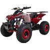 Actionbikes Motors S-10