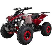 Actionbikes Motors S-10
