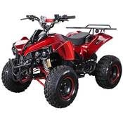 Actionbikes Motors S-10