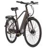 Adore E-Citybike Hollandia Mantova