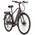 Adore E-Citybike Hollandia Mantova
