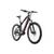 Adore MTB Pedelec Xpose E-Bike
