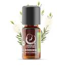 Advanced Essentials Bio Teebaumöl