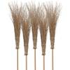 Agrarflora Bambusbesen Spar Set
