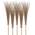 Agrarflora Bambusbesen Spar Set