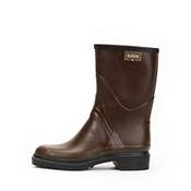 Aigle Bison