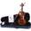 Aileen Violin