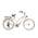 Airbici 790L
