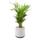 Airy Pot M mit Goldfruchtpalme