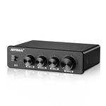 Aiyima A01 TPA3116