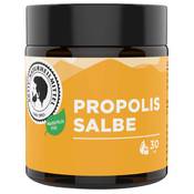 Aktiv Naturheilmittel Propolis Salbe