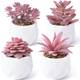 Alagirls ALAFP005-Pink Vergleich