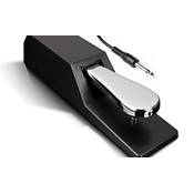 Alesis ASP-2