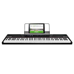 Alesis Recital