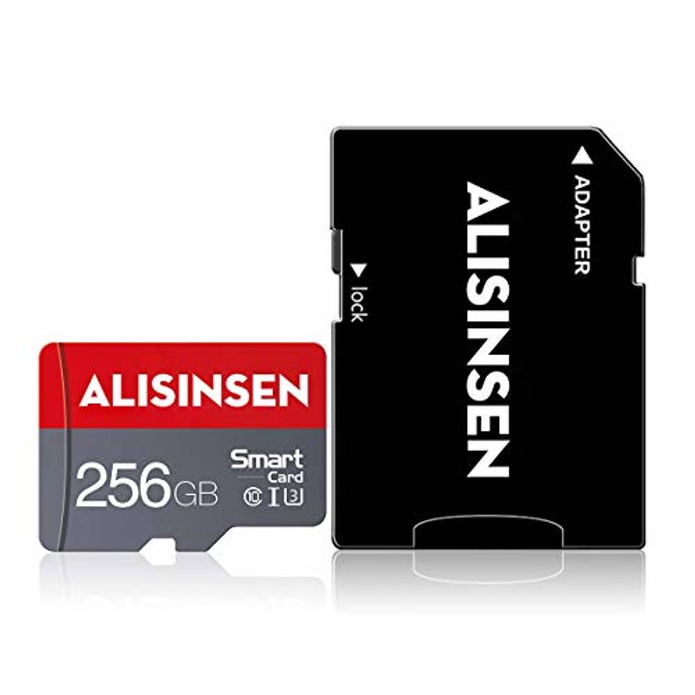 Platinum 4 GB SD Speicherkarte (kein SDHC) – Klas Produktbild-Vorschau 11