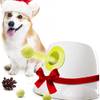 Ballwurfmaschine Hund